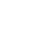 Paper Airplane